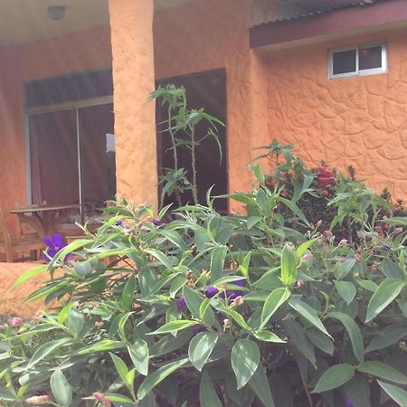 Cabinas Los Guayabos Hotel La Fortuna Esterno foto