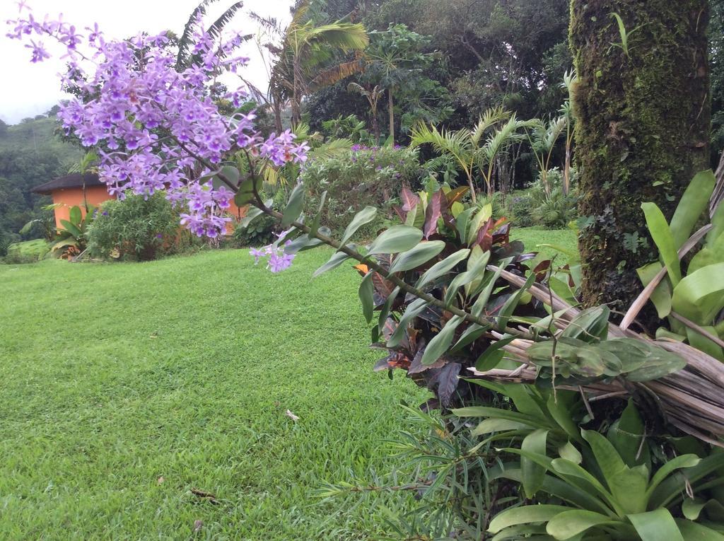 Cabinas Los Guayabos Hotel La Fortuna Esterno foto