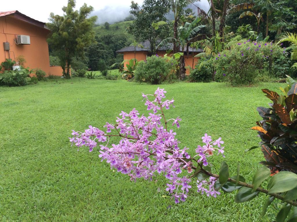 Cabinas Los Guayabos Hotel La Fortuna Esterno foto